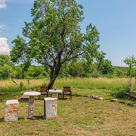 Pet Friendly In Danilo Holiday home
