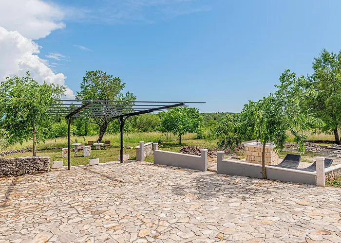 Awesome In Danilo Vikendica *