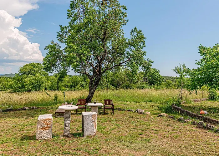 Awesome In Danilo Vikendica